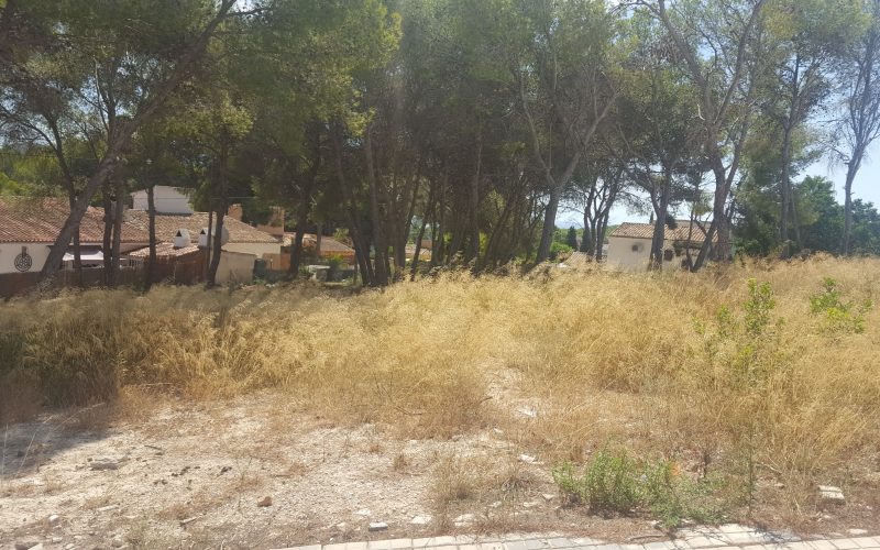 Opportunity Double and level plot with Seaviews – 1100 meters from the Beach and Centre