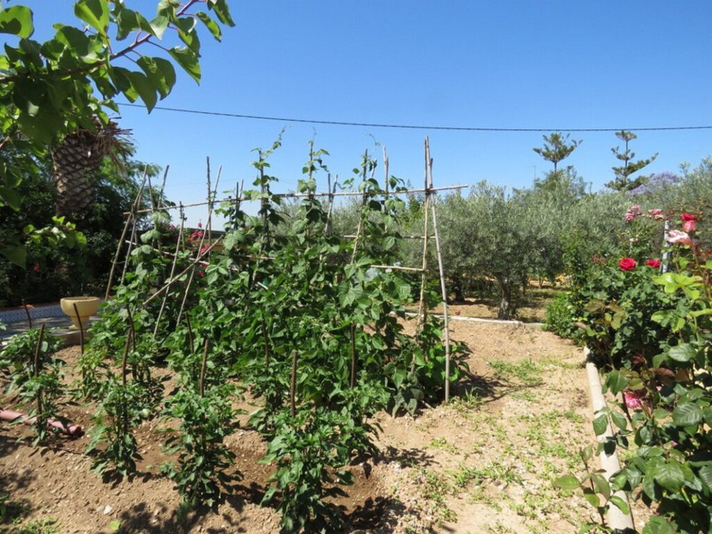 huis in Valencia te koop