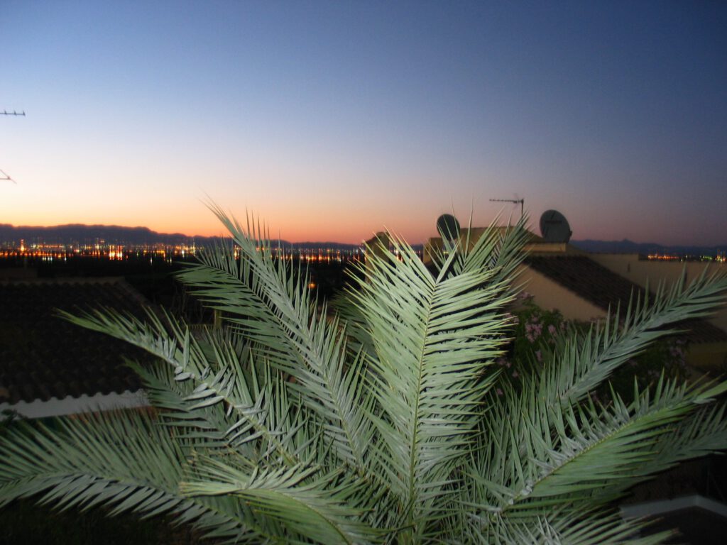 huis in Rojales te koop